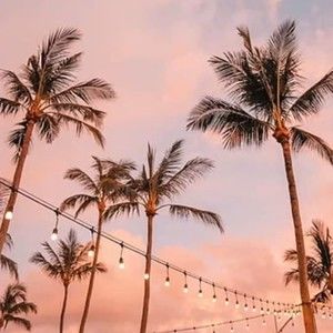 Meet your Posher, Madeline